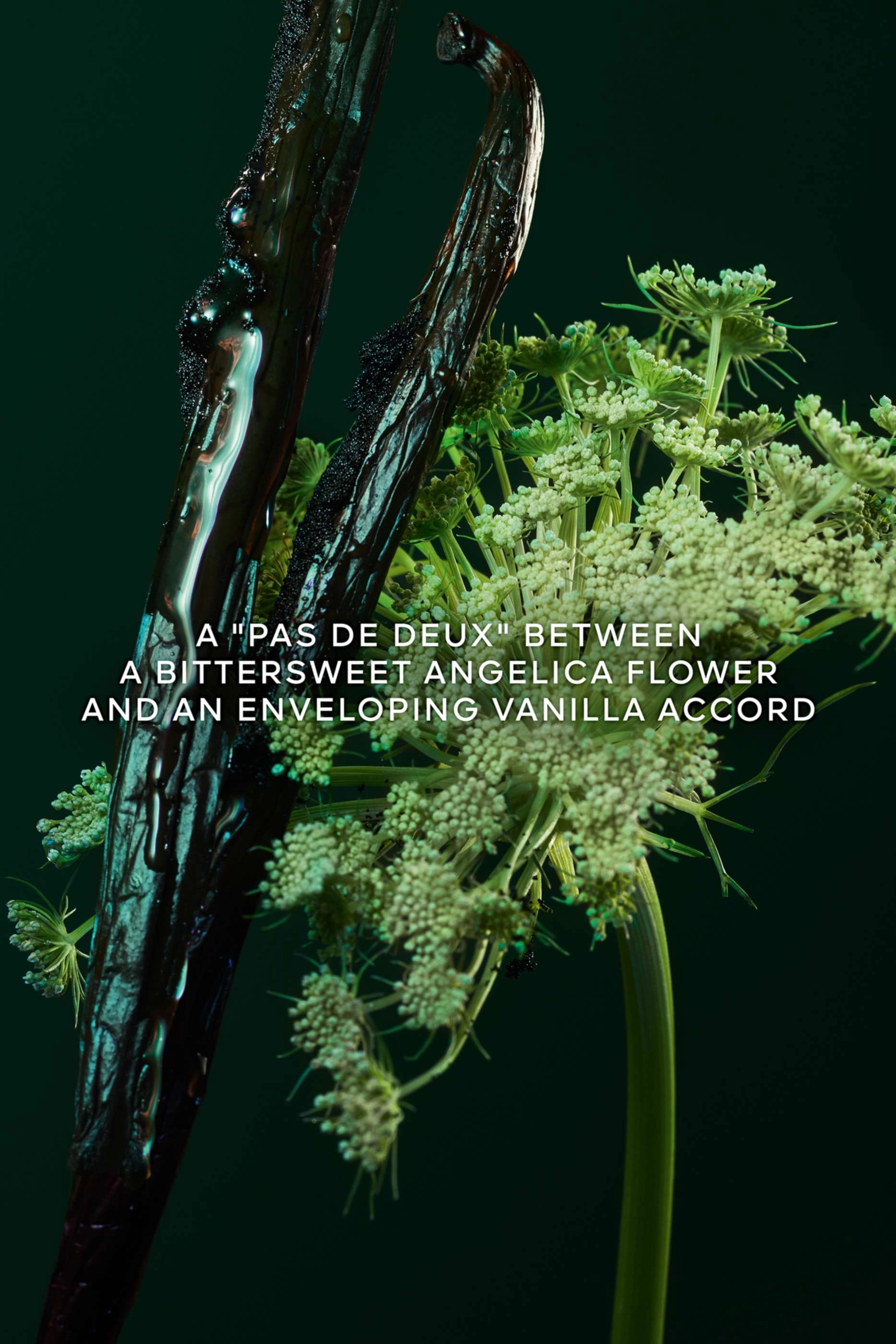 Angélique Noire Eau de Parfum 200ml