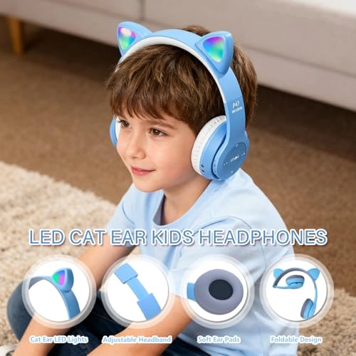 P47M Wireless Headphone