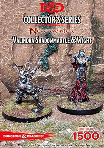 Gale Force Nine D and D Neverwinter Valindra Shadowmantle and Wight