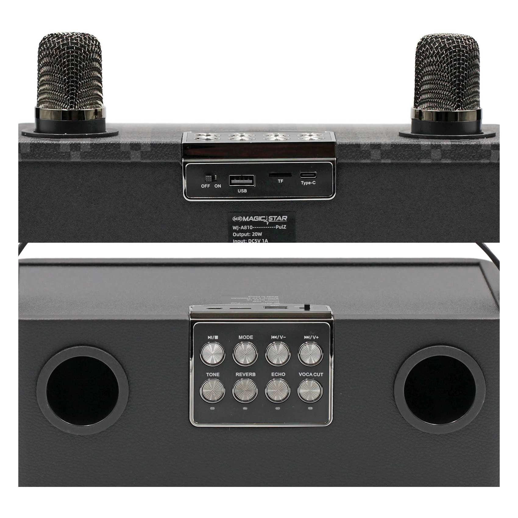 PulZ Mini Karaoke System - 2 Microphones