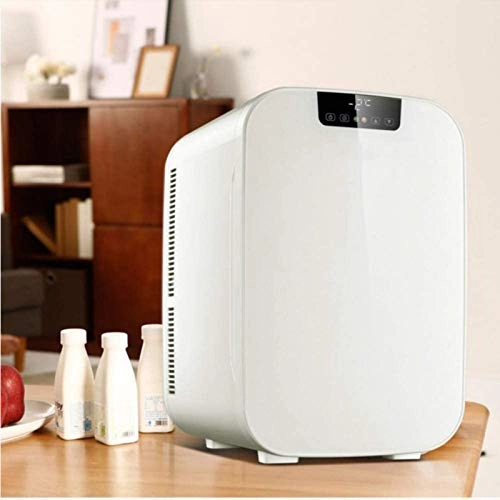 car refrigerator - mini dual voltage heating and cooling