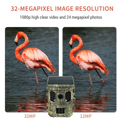 Trail Cam - 16 megapixel