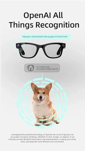AI Smart Glasses - Real Time Translation Voice Assistant