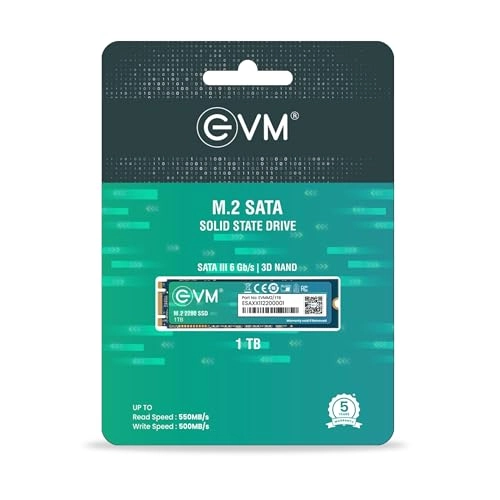 EVMM2 - 1TB 2280