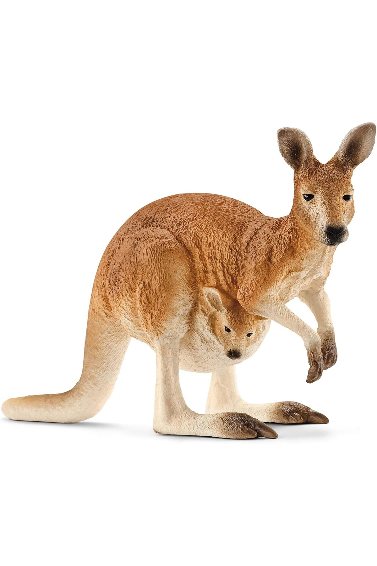 schleich Kangaroo - 3 yr 1 Piece (13 cm) (4005086147560)