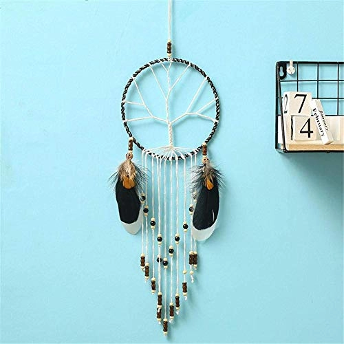 Dreamcatcher - Siderosphere, feathers, lines, wood beads.