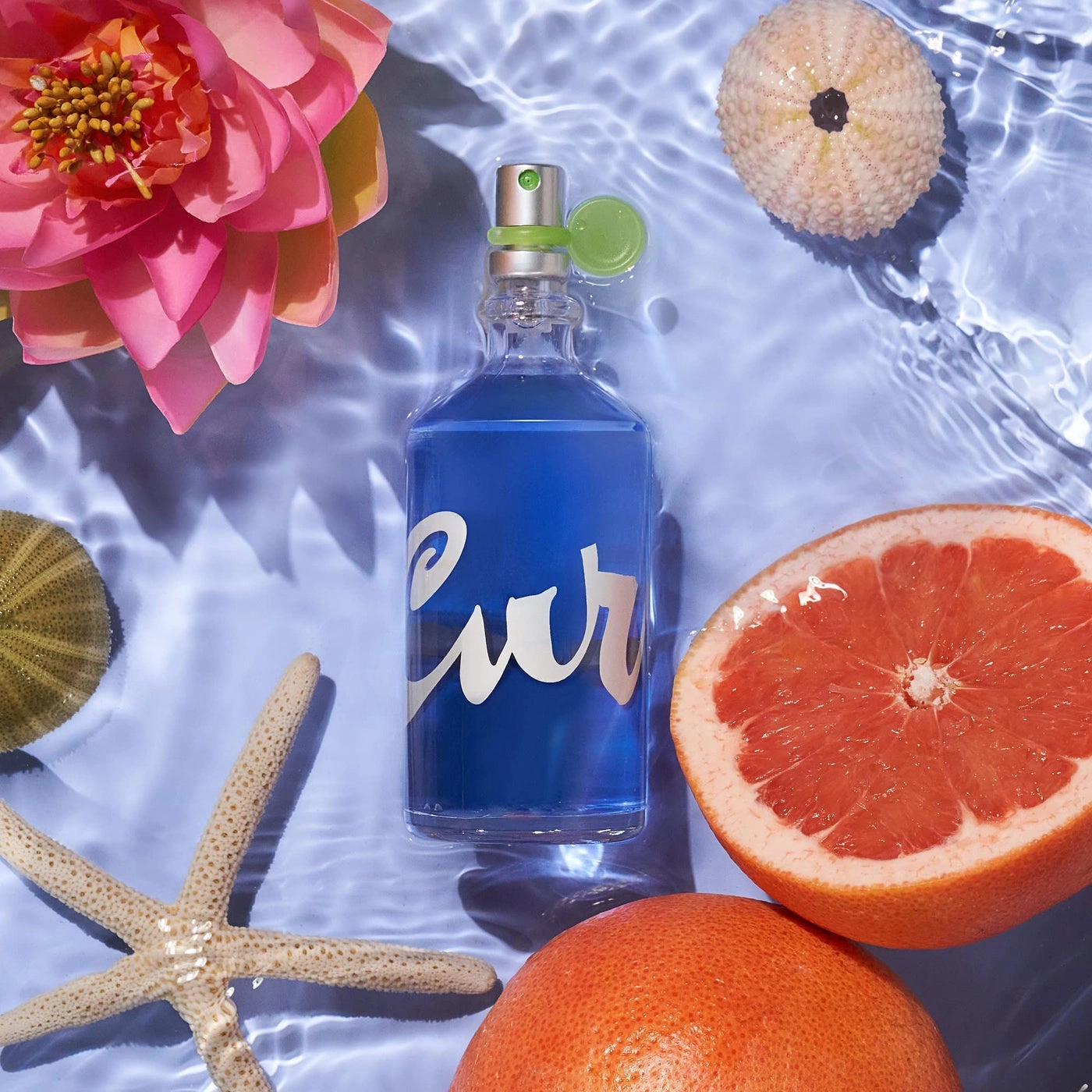 Women's Perfume Eau de Toilette 3.4 fl oz