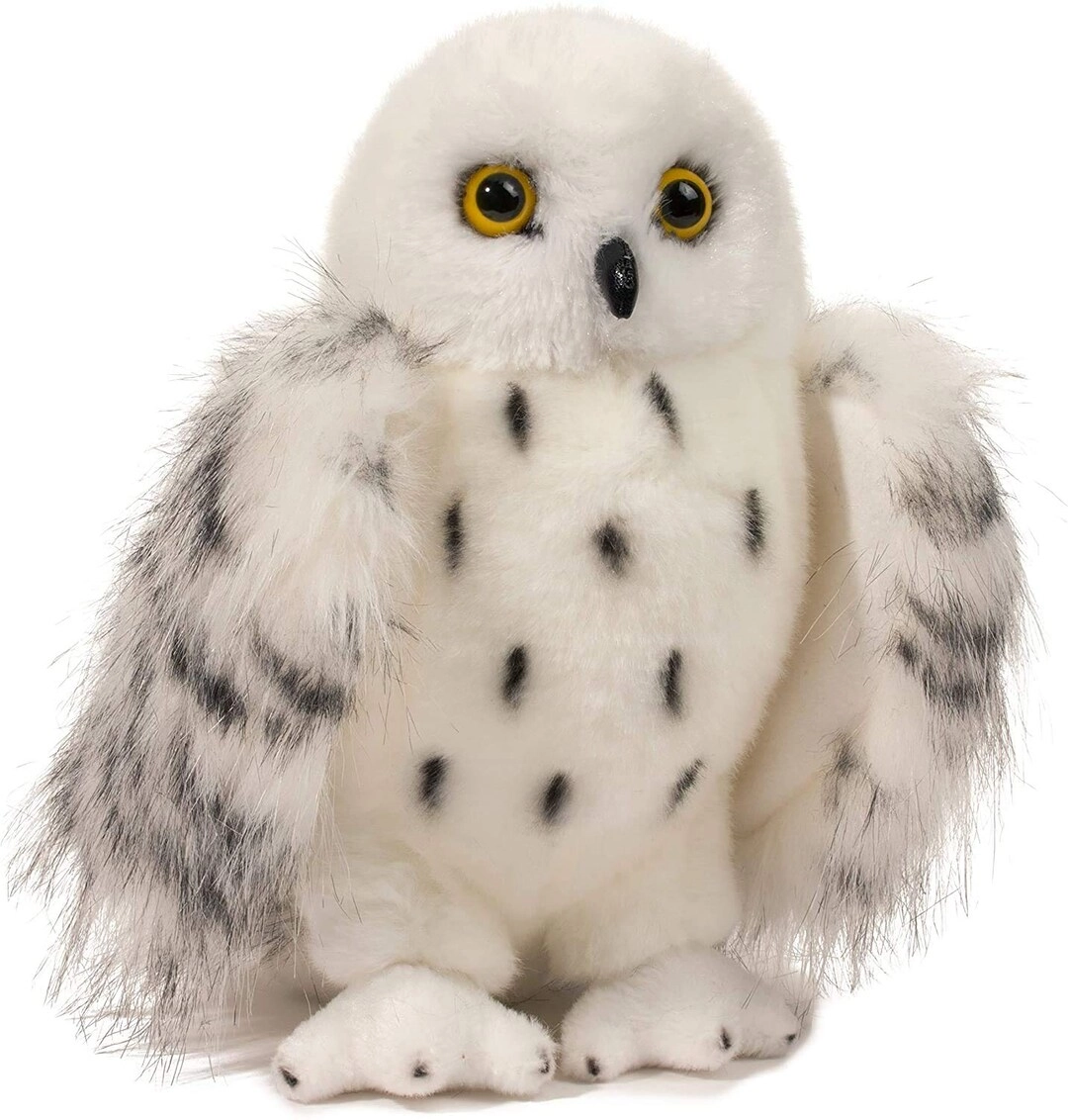 MZA STORES Wizard Snowy Owl