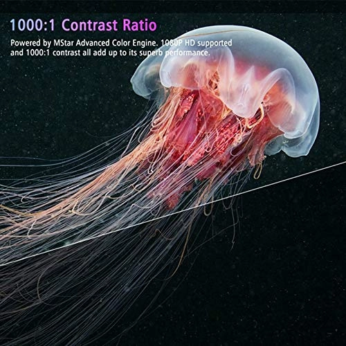 VSDCDEBDS 2400 lumens