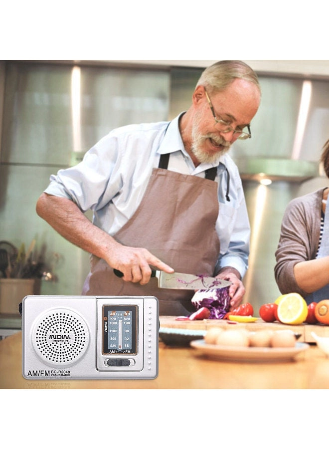 BC-R2011 - Mini AM FM