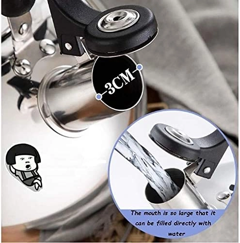 Stovetop Induction Whistling Kettle - 5L