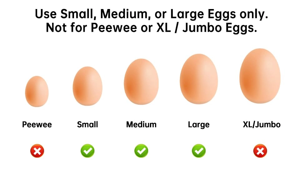 Electric Egg Spinner - 0.5 Liters 11.1 Watt-hours