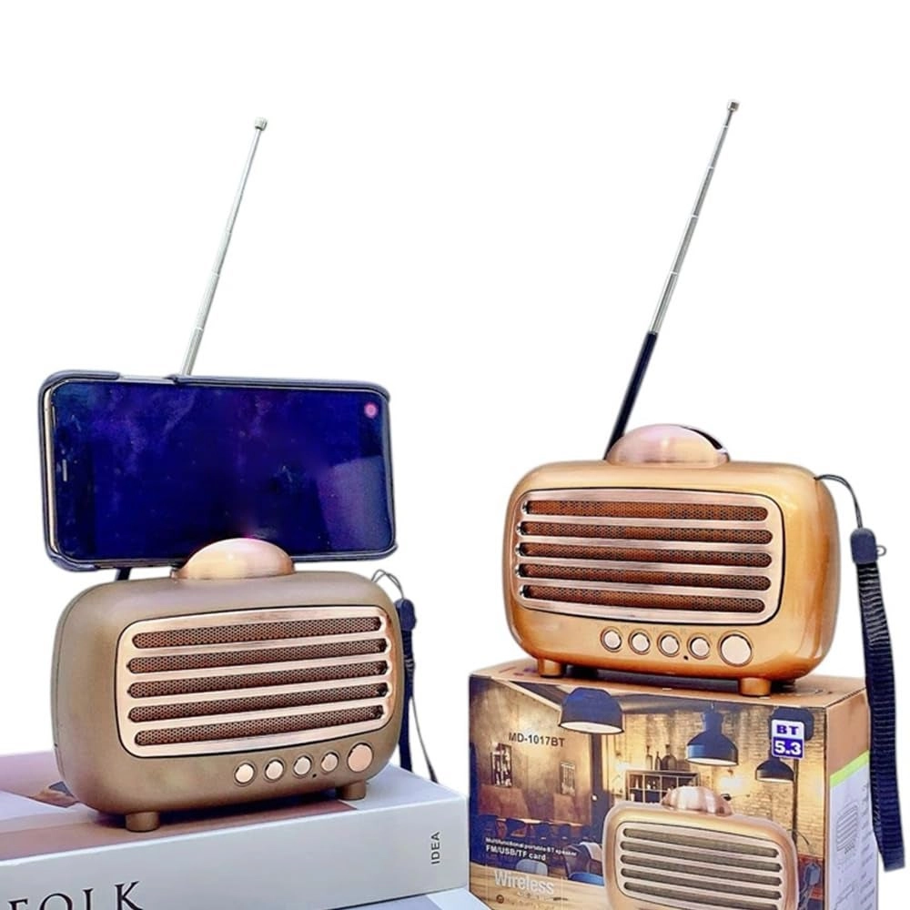 Portable FM Radio - Bluetooth TF Card Rechargeable Battery