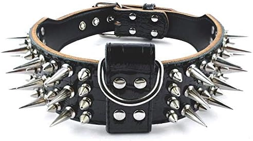 PET ARTIST 2" Wide Leather Studded Dog Collar - XL Dog