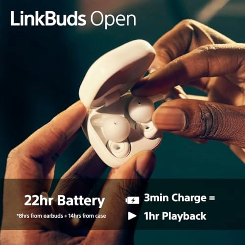 LinkBuds Open Wireless Earbud