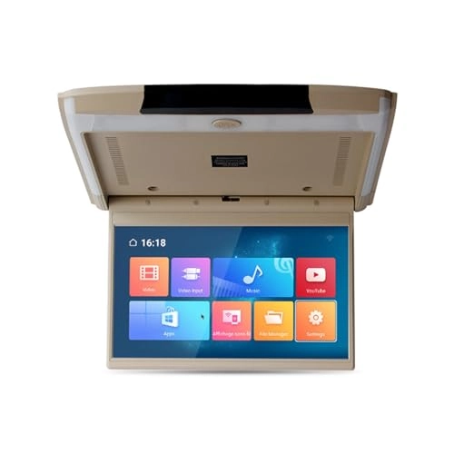 Car ceiling display - 11.6-inch