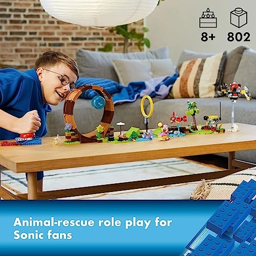 Sonic The Hedgehog Green Hill Zone Loop Challenge (76994)