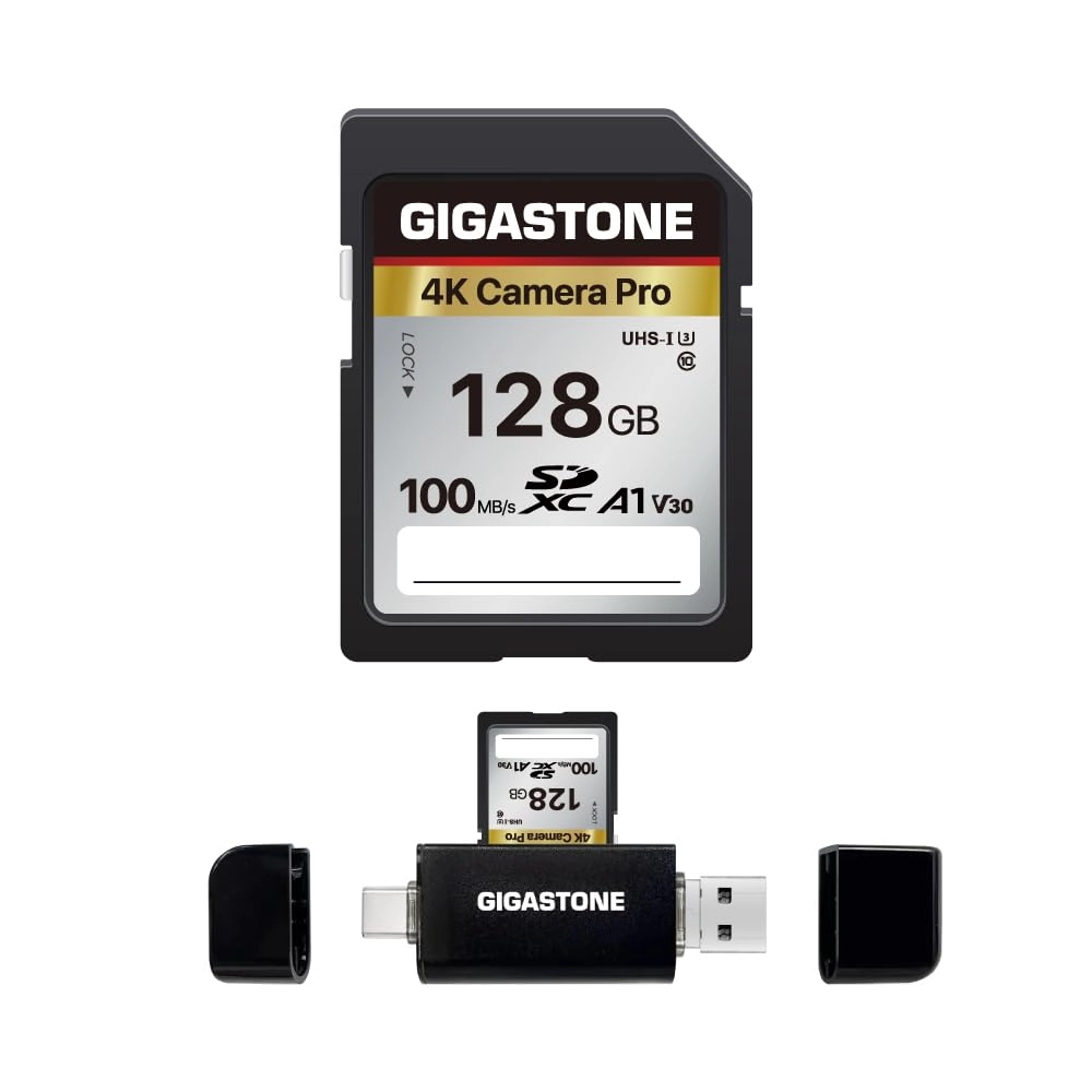 Gigastone SD Card - 128GB + USB Type C Card Reader + Mini Case