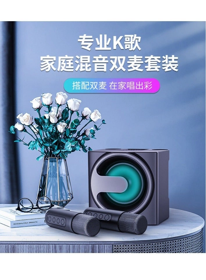 Portable Bluetooth Speaker - Two Wireless Microphones
