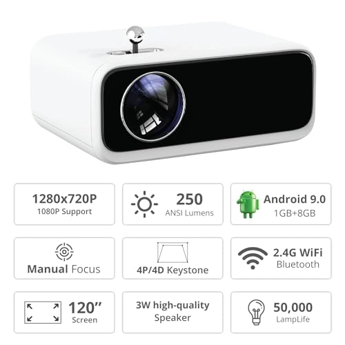 Mini Pro 300 ANSI lumens