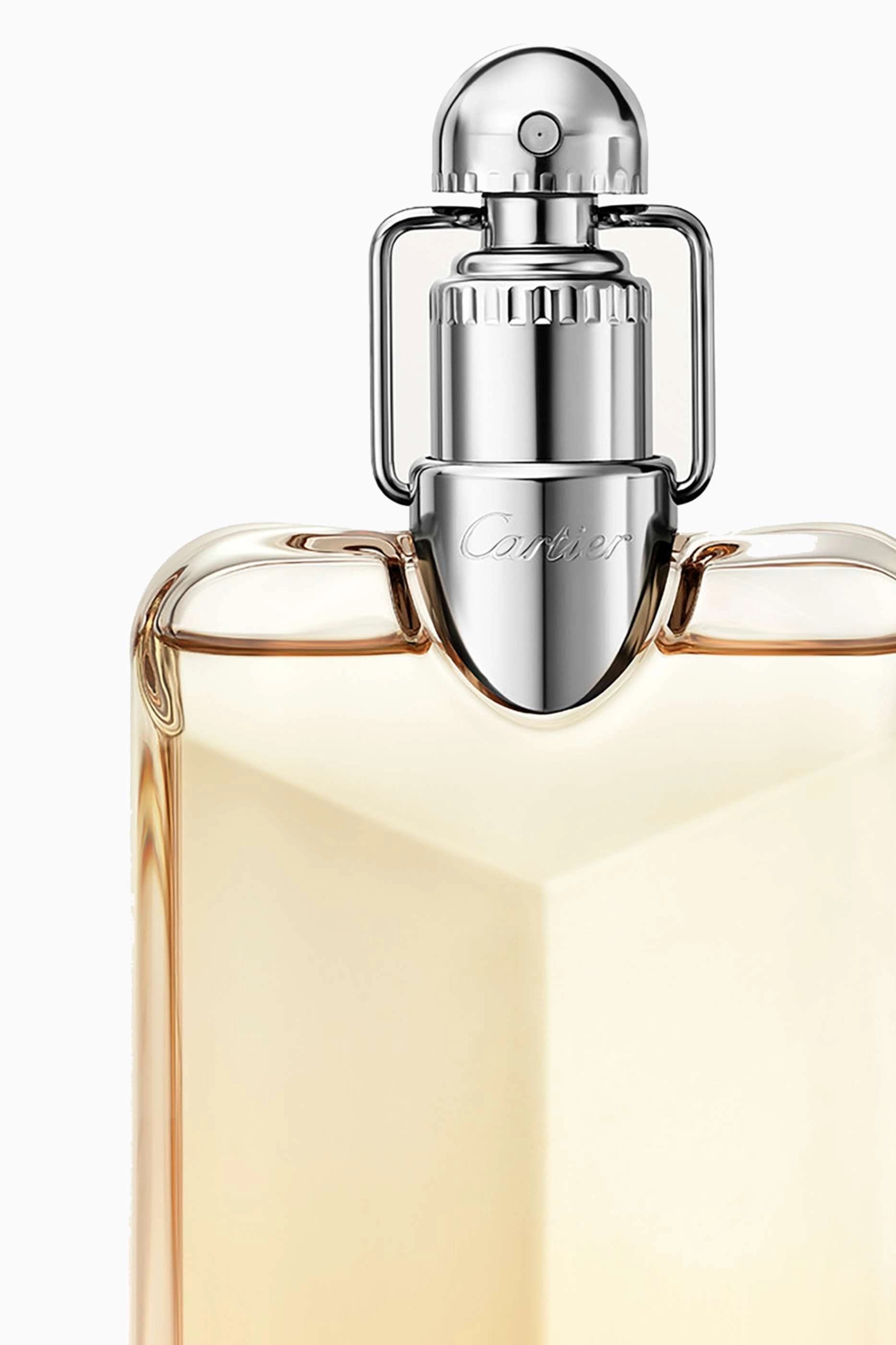 Déclaration Parfum Eau de Parfum 100 ml