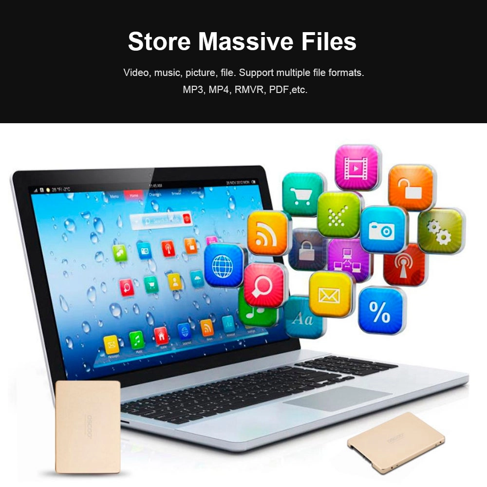 Solid State Disk - 256GB 2.5-inch