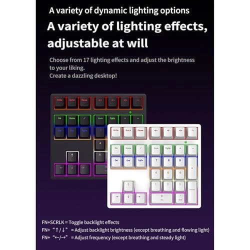 Mechanical Number Pad - Blue switch