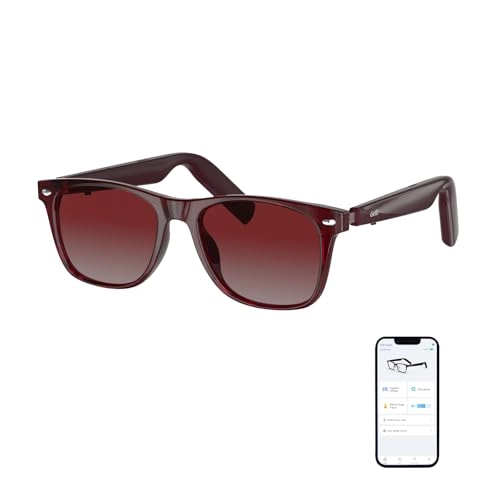 GG13 - Bluetooth AI Translator 11H Battery