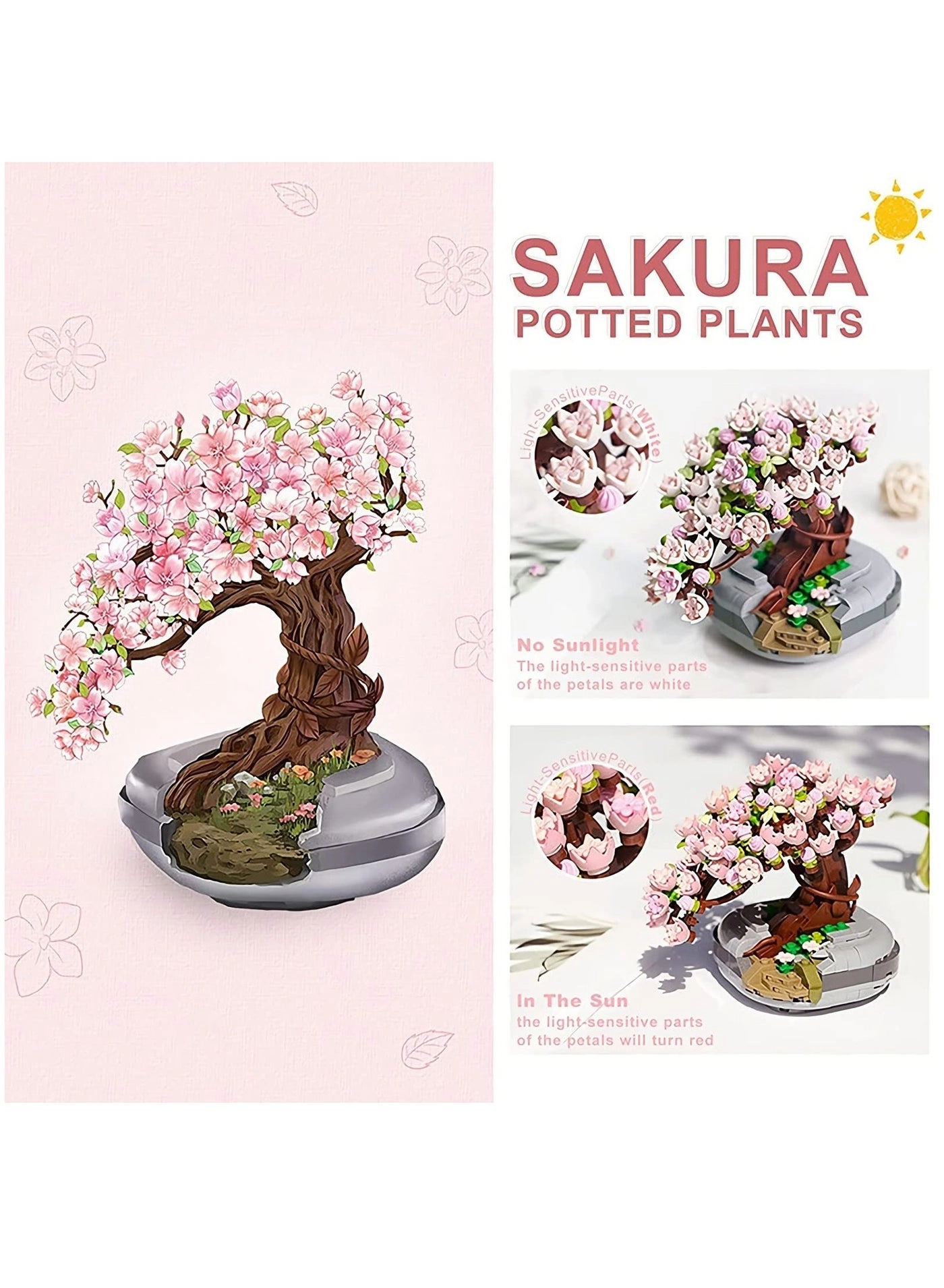 Cherry Blossom Bonsai Tree - Sakura