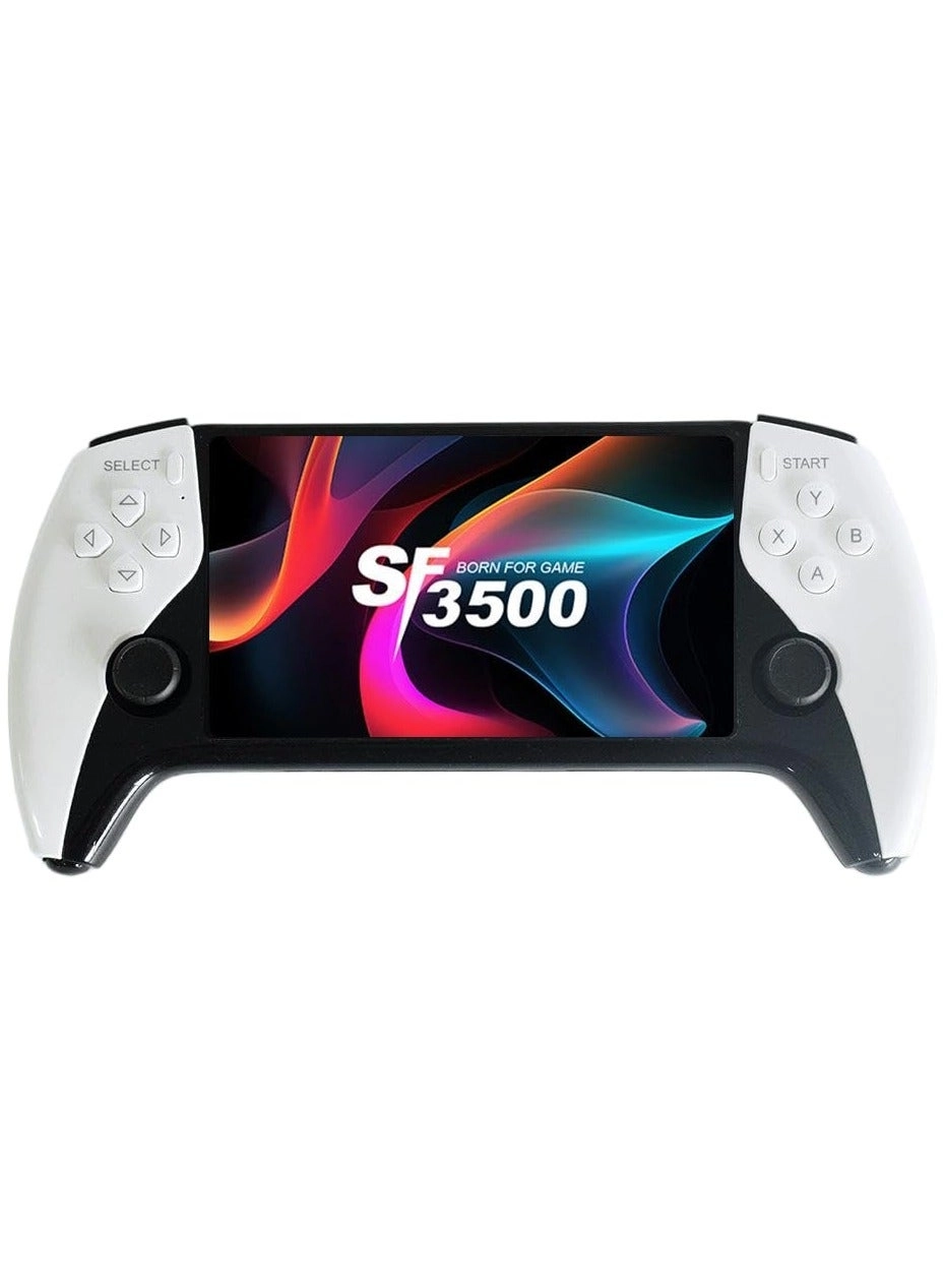 Portable Video Game Console