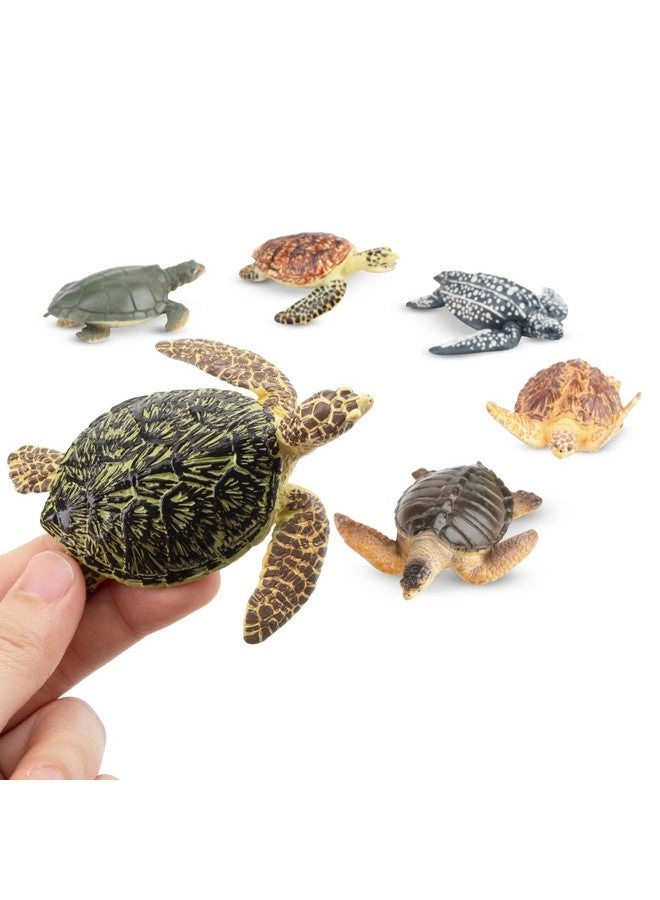 Sea Turtle Figurines 6 pcs