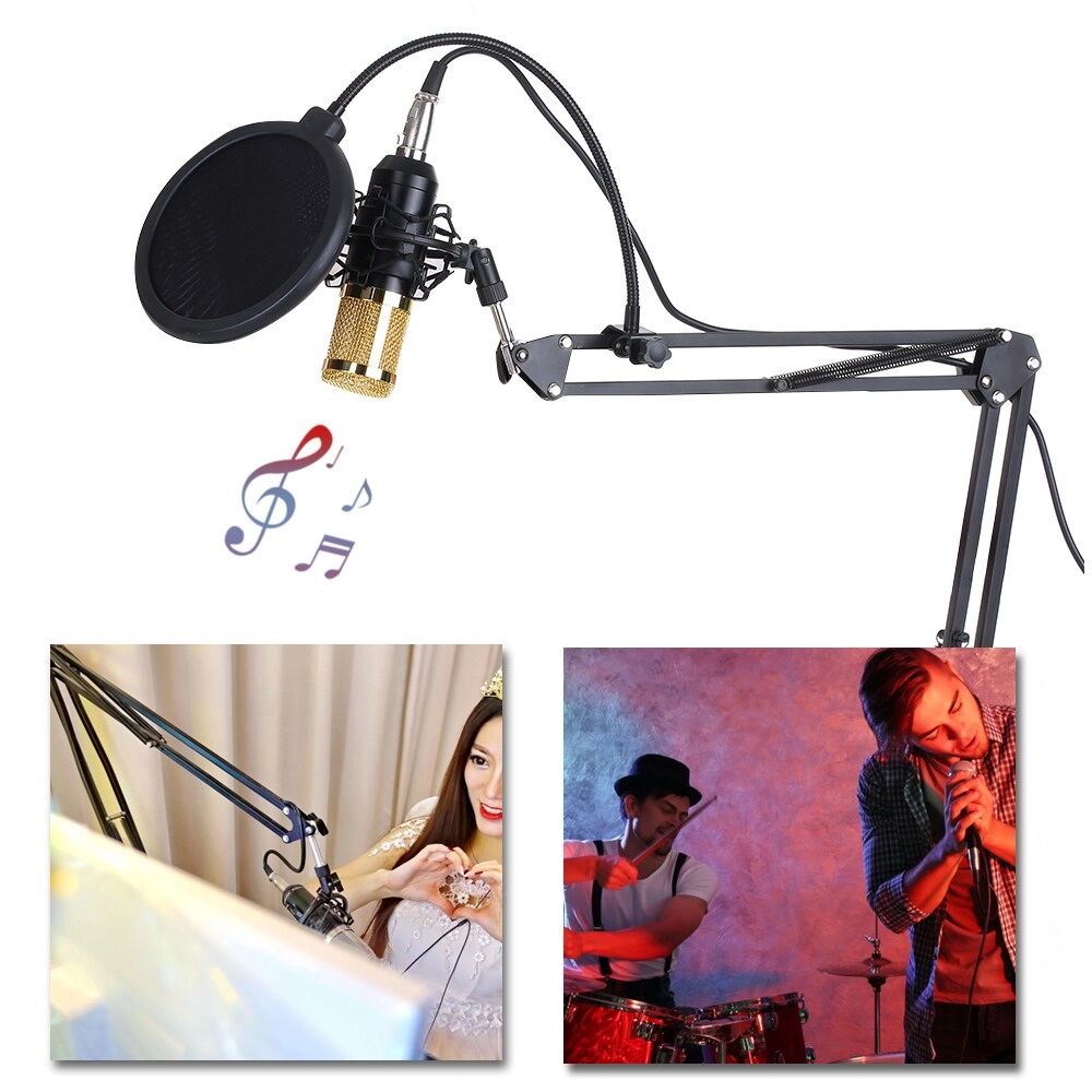 BM800 Wired Microphone