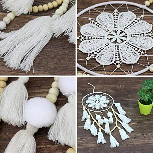 Dreamcatcher - Siderosphere, feathers, lines, wood beads.