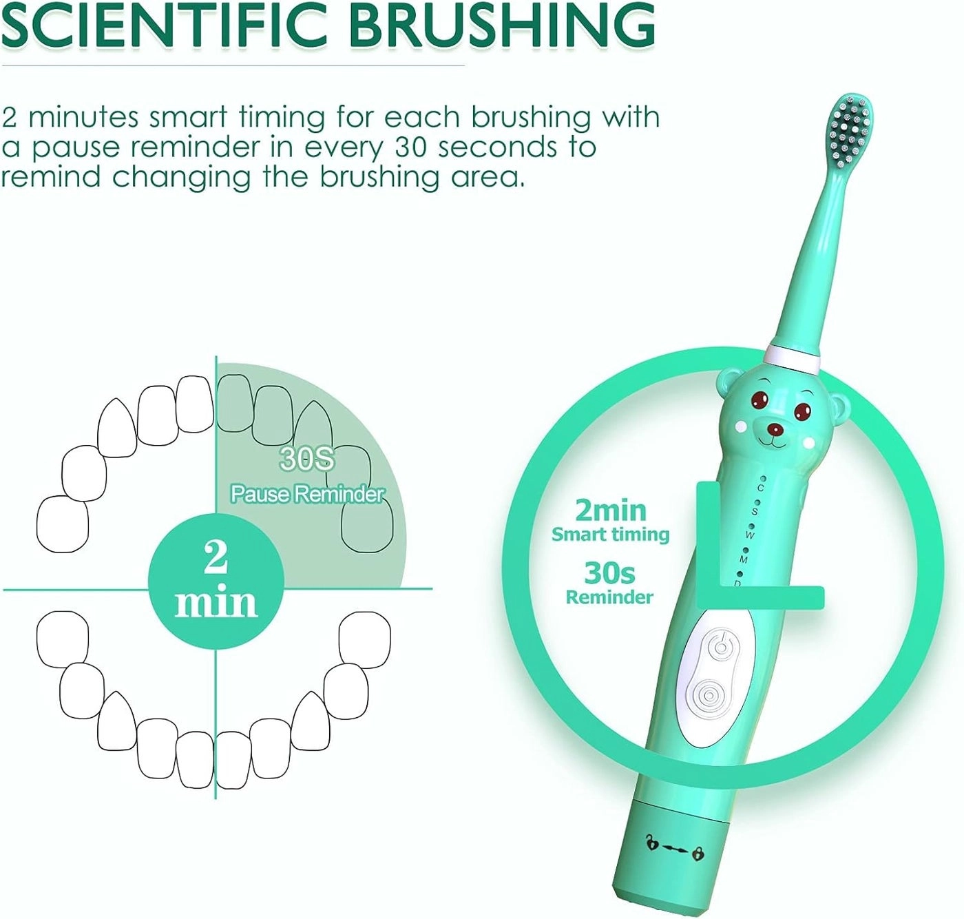 Kids Sonic Electric Toothbrush - Cute Bear 4 Brush Heads 2 Min Timer