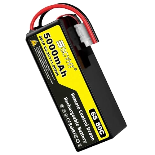 Lipo Battery 6S