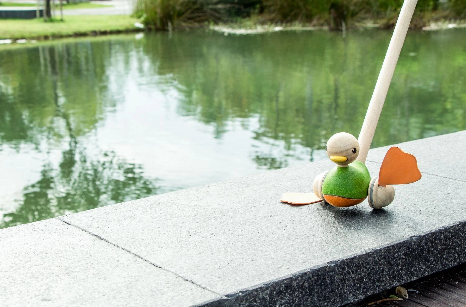 Push Along Duck - 3 + Multi Colour