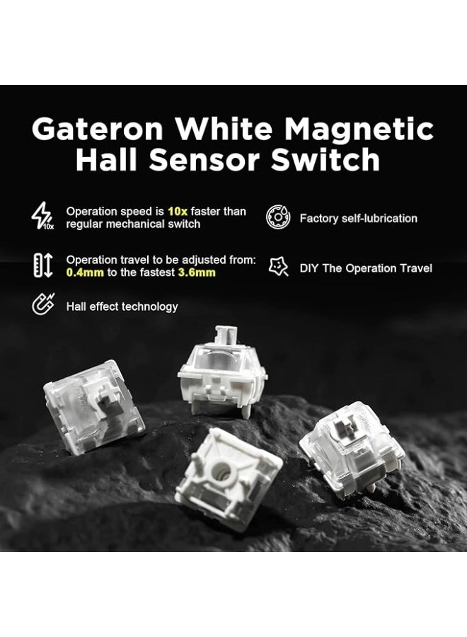 RT80 - Bluetooth/2.4GHz/Wired