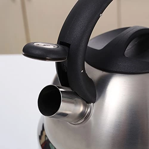 Stovetop Induction Whistling Kettle - 5L