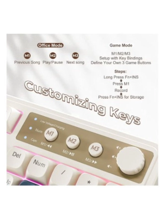 S99 - EN Wired/Wireless