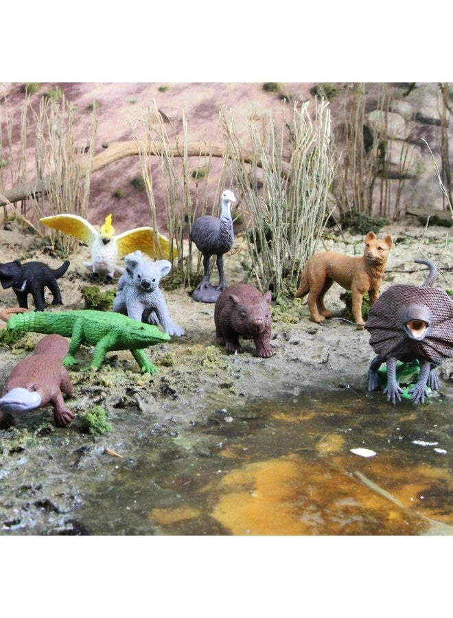 Land Down Under TOOB - Australian Animals 11 pcs