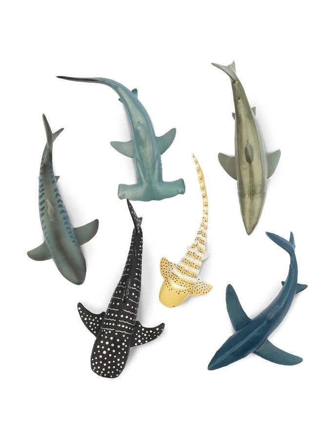 Realistic Shark Figurines - Ocean Animals - Shark 6 pcs