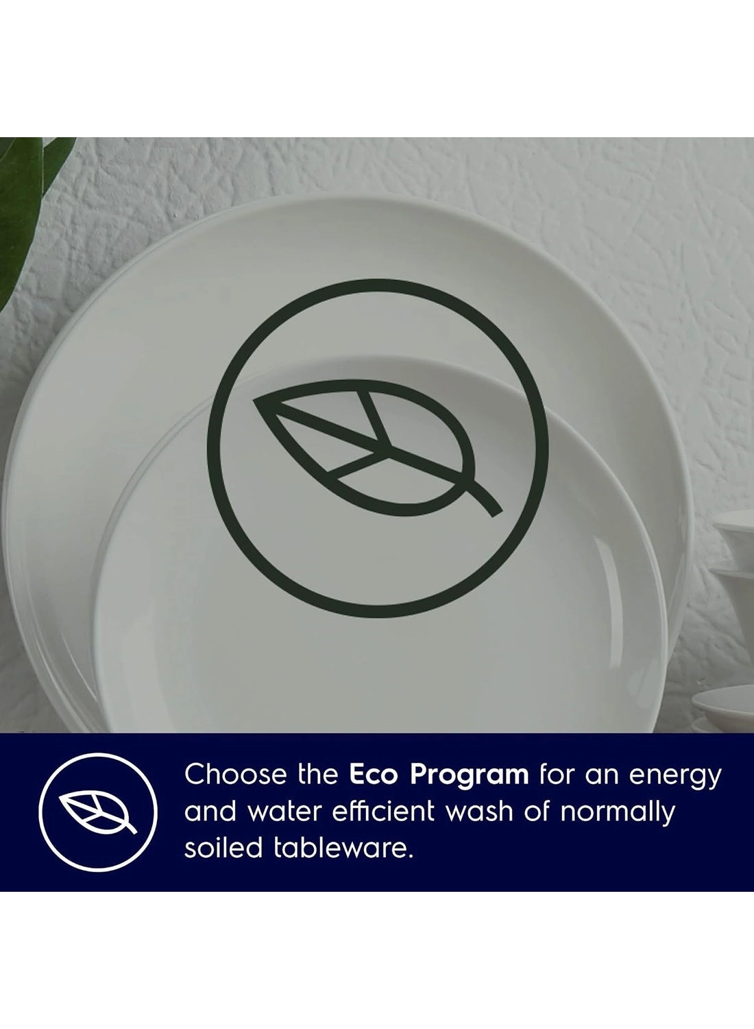 ESF5542LOW Freestanding