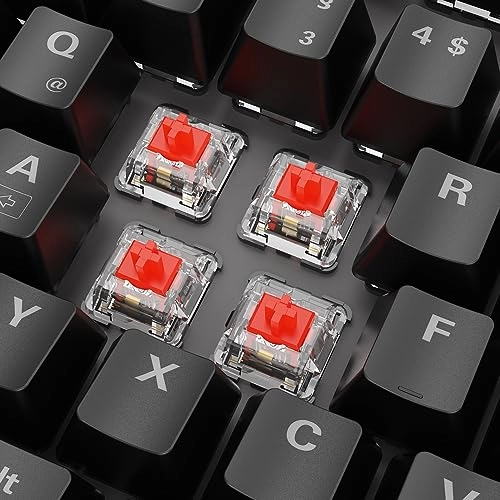 SGK20 - Wired