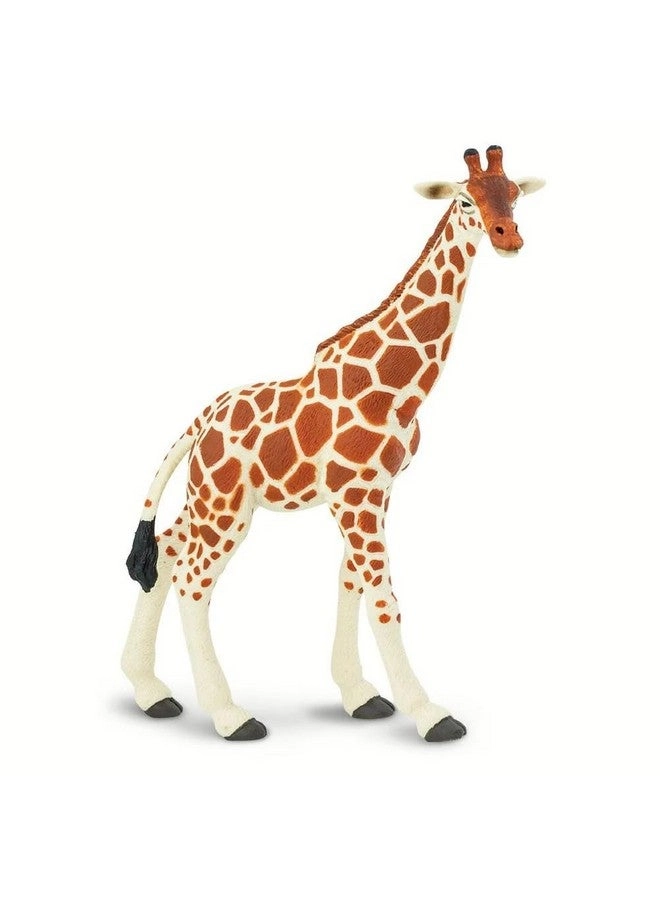 Safari Ltd Reticulated Giraffe Figurine - 7" Lifelike