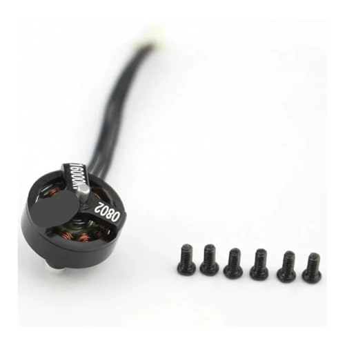 Brushless Motor