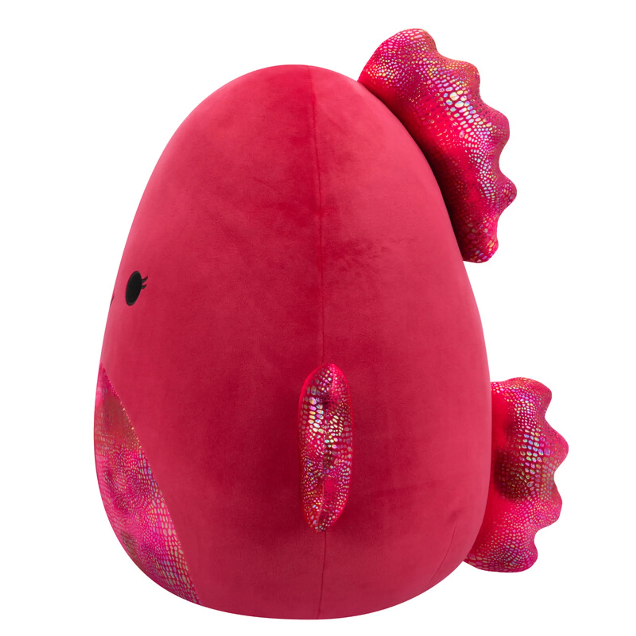 Barella Raspberry Betta Fish