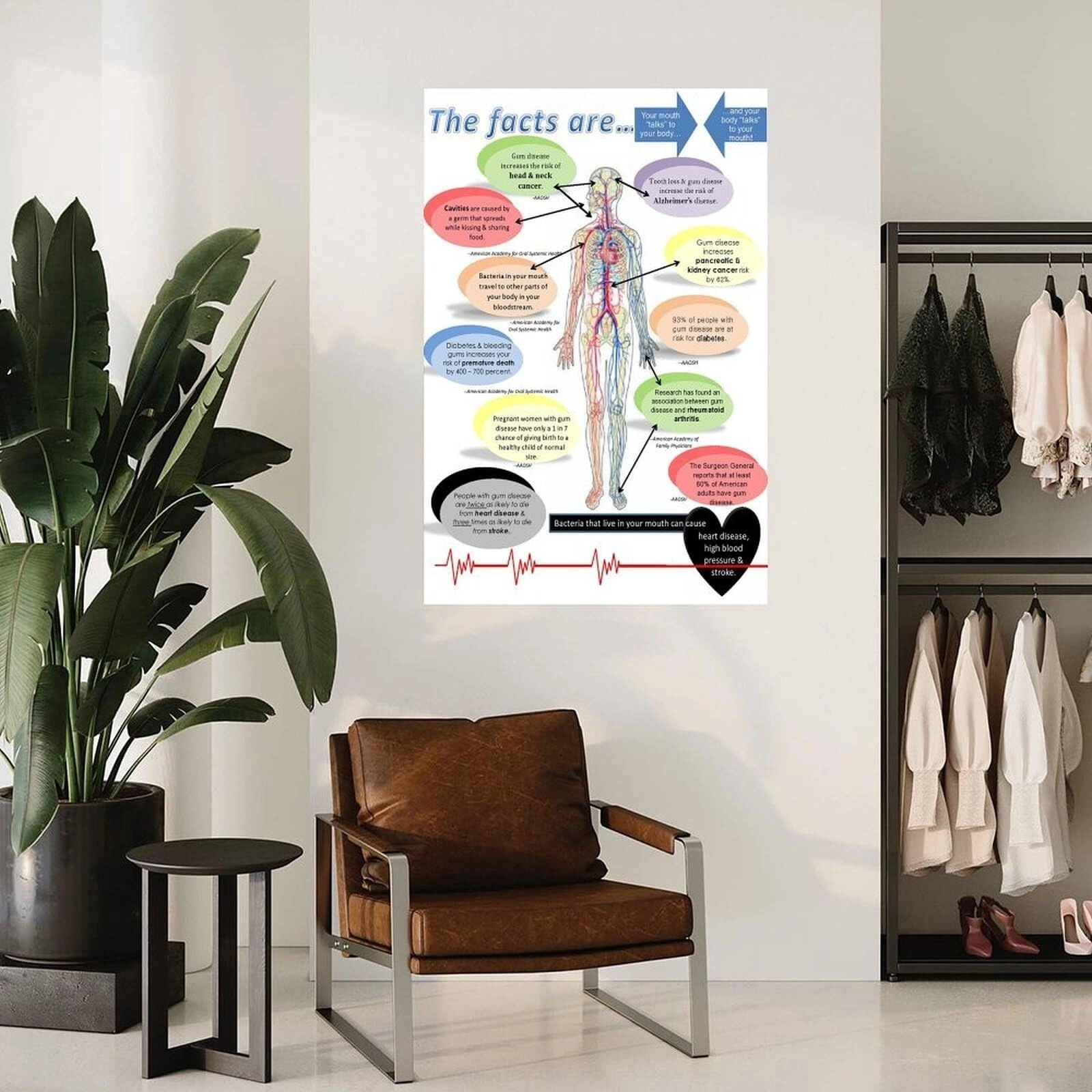 Dental Poster - 12x18inch(30x45cm)