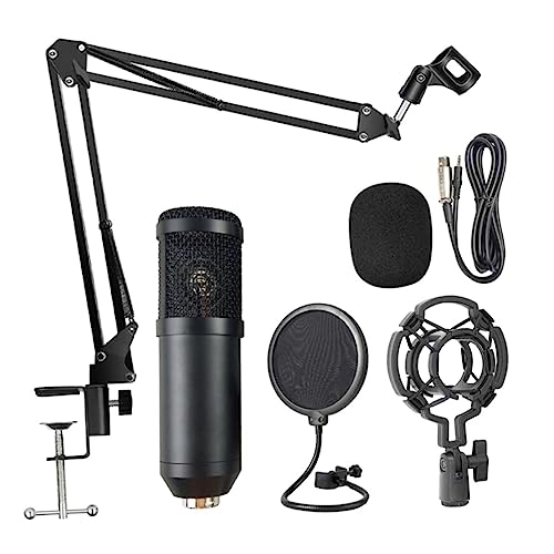 Multipurpose Wireless+Wired Microphone