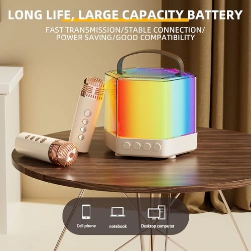 Karaoke Machine - 2 15W