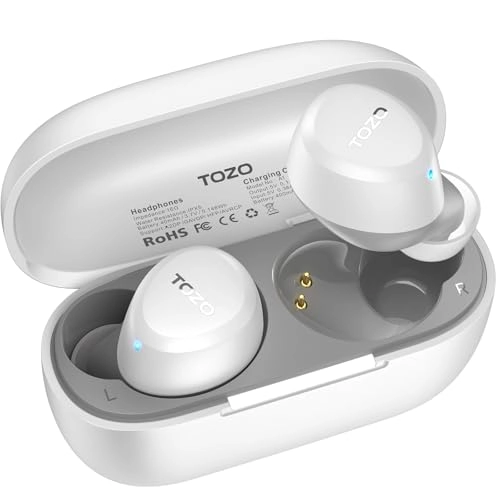 A1 Wireless Earbuds